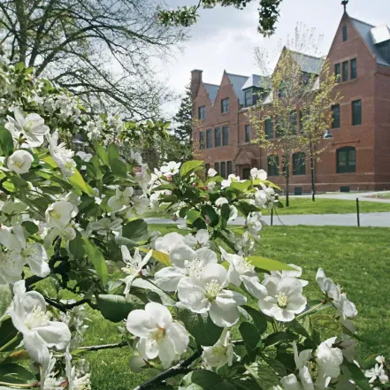 building and flowers